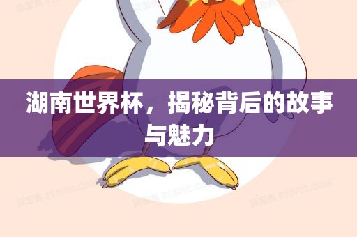 湖南世界杯，揭秘背后的故事与魅力