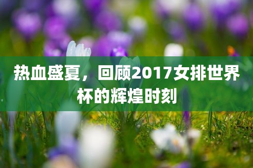 热血盛夏，回顾2017女排世界杯的辉煌时刻