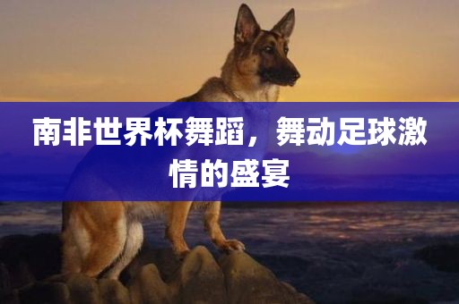 南非世界杯舞蹈，舞动足球激情的盛宴