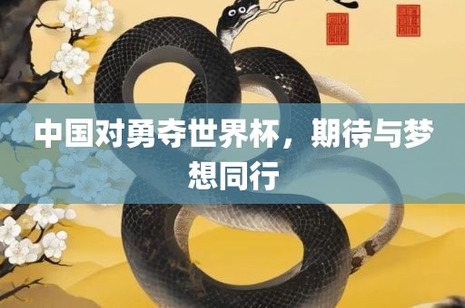 中国对勇夺世界杯，期待与梦想同行