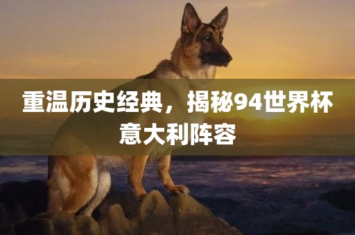 重温历史经典，揭秘94世界杯意大利阵容