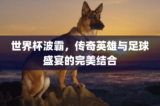 世界杯波霸，传奇英雄与足球盛宴的完美结合漯河市盈旭机械设备有限公司