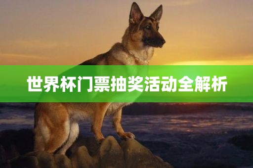 世界杯门票抽奖活动全解析