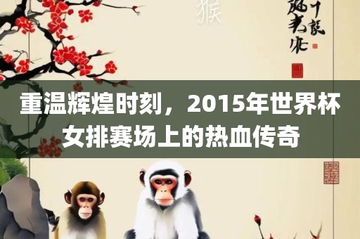 重温辉煌时刻漯河市盈旭机械设备有限公司，2015年世界杯女排赛场上的热血传奇