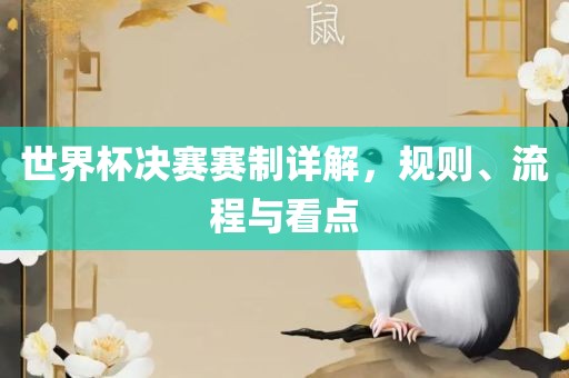 世界杯决赛赛制详解，规则、流程与看点漯河市盈旭机械设备有限公司