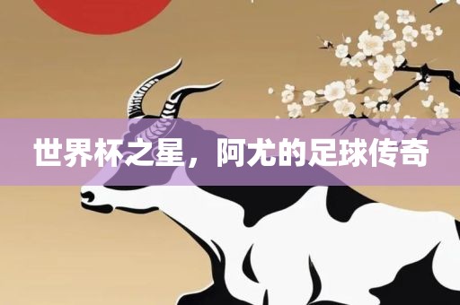 世界杯之星，阿尤的足球传奇漯河市盈旭机械设备有限公司