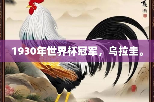 1930年世界杯冠军，乌拉圭。