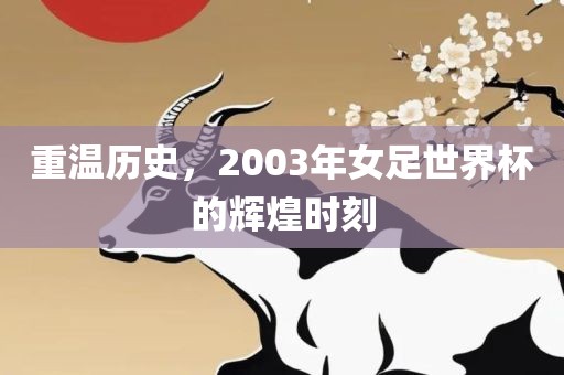 重温历史，2003年女足世界杯的辉煌时刻漯河市盈旭机械设备有限公司