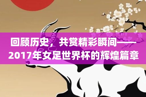 回顾历史，共赏精彩瞬间——2017年女足世界杯的辉煌篇章漯河市盈旭机械设备有限公司