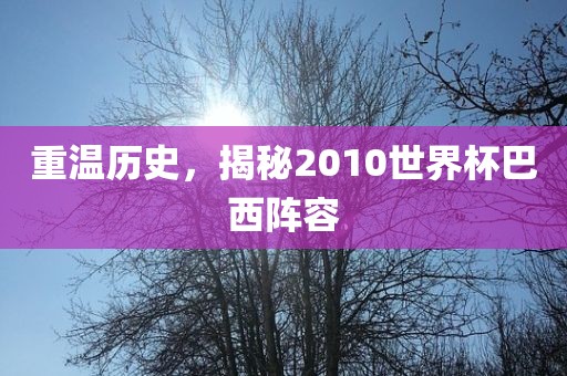 重温历史，揭秘2010世界杯巴西阵容