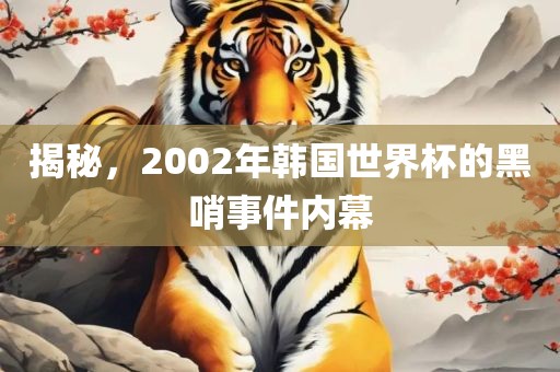 揭秘，2002年韩国世界杯的黑哨事件内幕漯河市盈旭机械设备有限公司