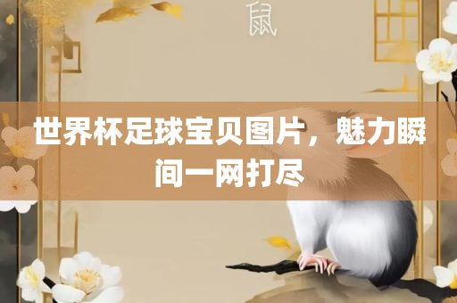 世界杯足球宝贝图片，魅力瞬间一网打尽