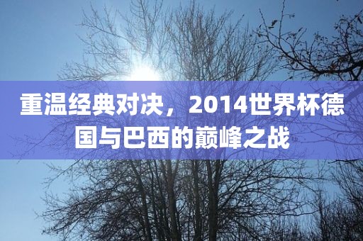 重温经典对决，2014世界杯德国与巴西的巅峰之战