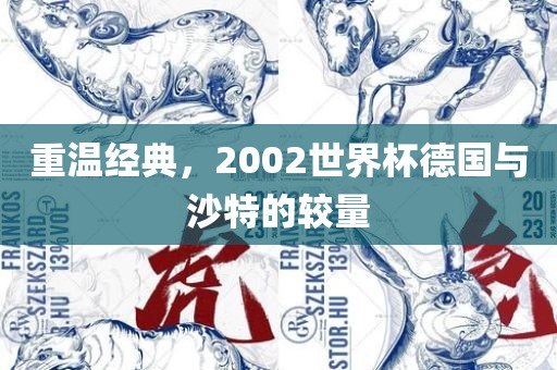 重温经典，2002世界杯德国与沙特的较量漯河市盈旭机械设备有限公司