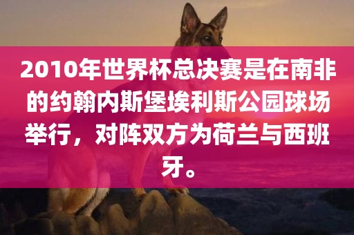 2010年世界杯总决赛是在南非的约翰内斯堡埃利斯公园球场举行，对阵双方为荷兰与西班牙。