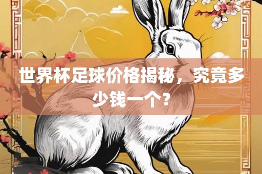 世界杯足球价格揭秘，究竟多少钱一个？