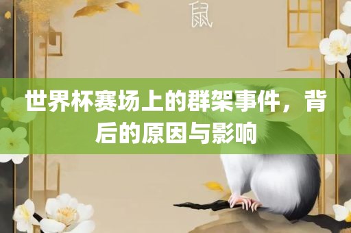 世界杯赛场上的群架事件，背后的原因与影响