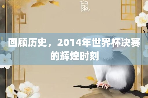 回顾历史，2014年世界杯决赛的辉煌时刻漯河市盈旭机械设备有限公司