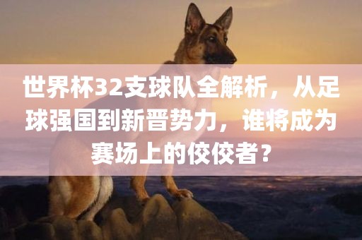 世界杯32支球队全解析，从足球强国到新晋势力，谁将成为赛场上的佼佼者？