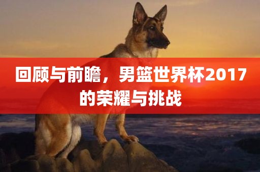 回顾与前瞻，男篮世界杯2017的荣耀与挑战