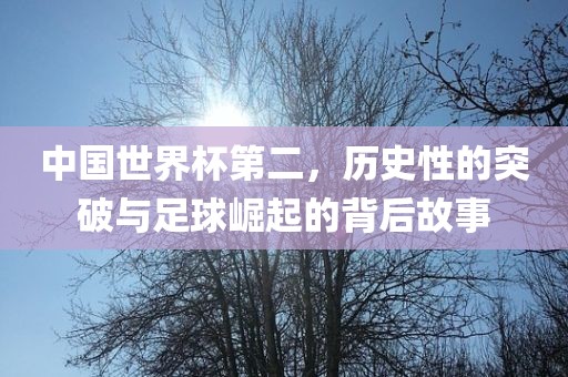 中国世界杯第二，历史性的突漯河市盈旭机械设备有限公司破与足球崛起的背后故事