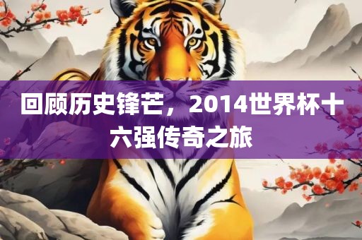 回顾历史锋芒，2014世界杯十六强传奇之旅漯河市盈旭机械设备有限公司