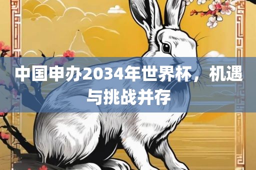 中国申办2034年世界杯，机遇与挑战并存