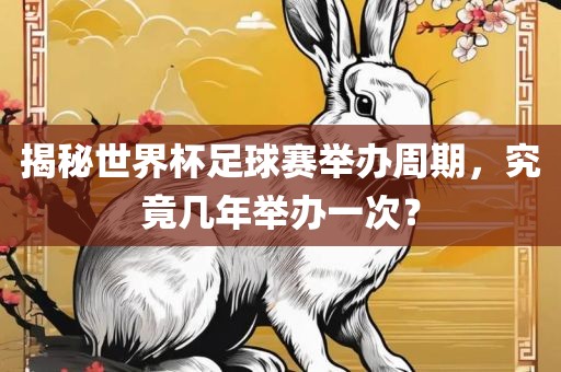 揭秘世界杯足球赛举办周期，究竟几年举办一次？漯河市盈旭机械设备有限公司