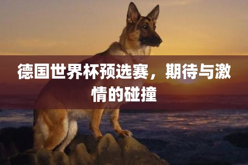 德国世界杯预选赛，期待与激情的碰撞