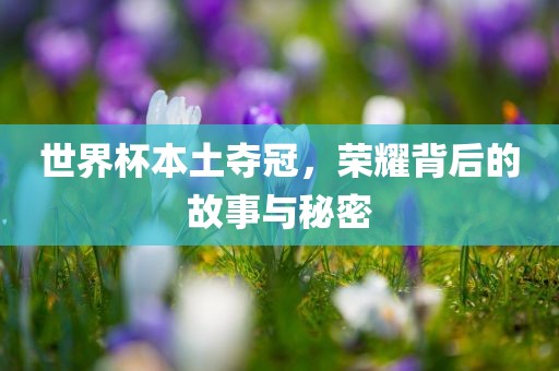 世界杯本土夺冠，荣耀背后的故事与秘密漯河市盈旭机械设备有限公司