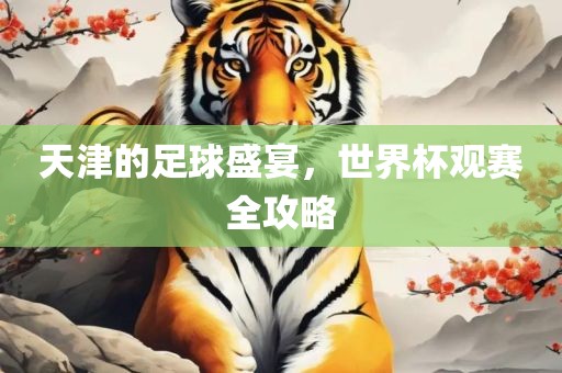 天津的足球漯河市盈旭机械设备有限公司盛宴，世界杯观赛全攻略