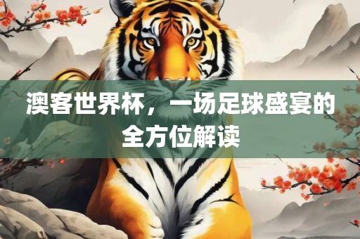 澳客世界杯，一场足球盛宴的全方位解读