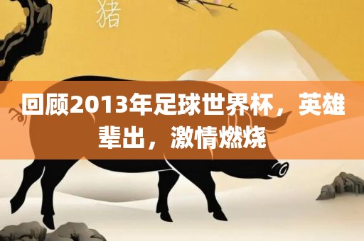 回顾2013年足球世界杯，英雄辈出，激情燃烧