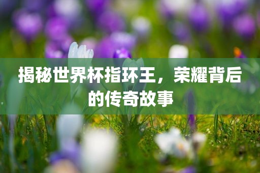 揭秘世界杯指环王，荣耀背后的传奇故事