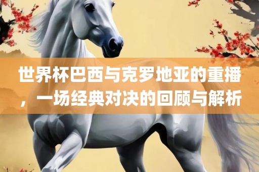 世界杯巴西与克罗地亚的重播，一场经典对决的回顾与解析