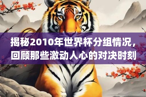 揭秘2010年世界杯分组情况，回顾那些激动人心的对决时刻漯河市盈旭机械设备有限公司