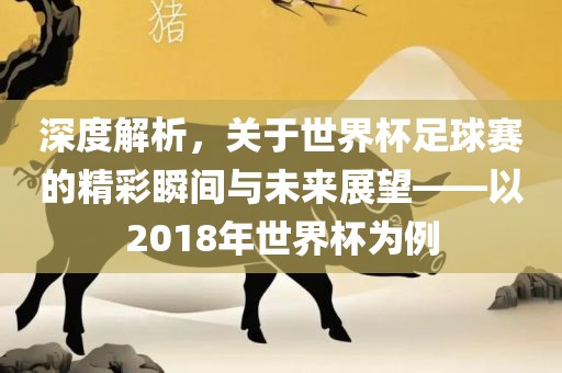深度解析，关于世界杯足球赛的精彩瞬间与未来展望——以2018年世界杯为例漯河市盈旭机械设备有限公司