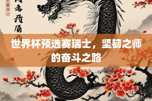 世界杯预选赛瑞士，坚韧之师的奋斗之路