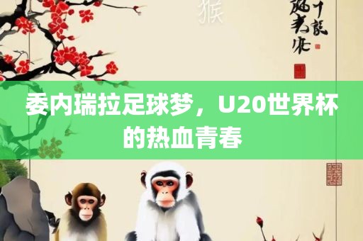 委内瑞拉足球梦，U20世界杯的热血青春