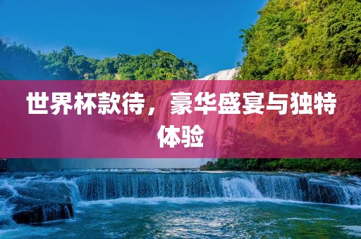 世界杯款漯河市盈旭机械设备有限公司待，豪华盛宴与独特体验