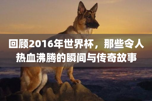 回顾2016年世界杯，那些令人热血沸腾的瞬间与传奇故事