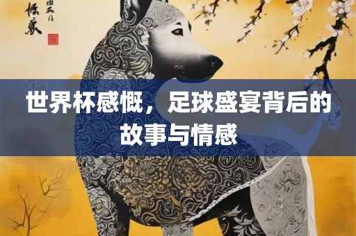 足球盛宴背后的故事与情感（或可简化为“足球背后的故事和情感”）