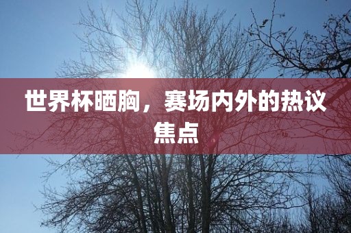 世界杯晒胸，赛场内外的热议焦点漯河市盈旭机械设备有限公司