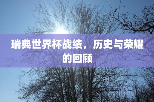 瑞典世界杯战绩，历史与荣耀的回顾