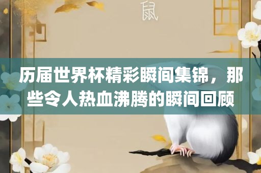 历届世界杯精彩瞬间集锦，那些令人热血沸腾的瞬间回顾