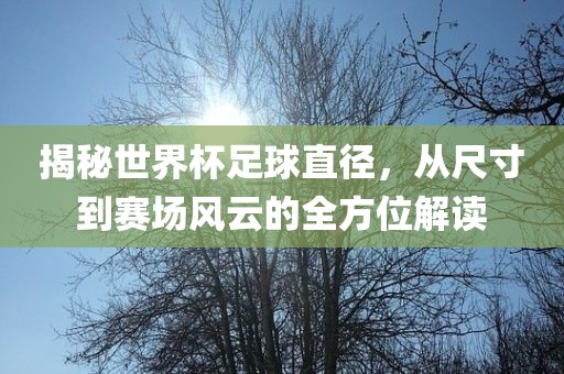 揭秘世界杯足球直径，从尺寸到赛场风云的全方位解读