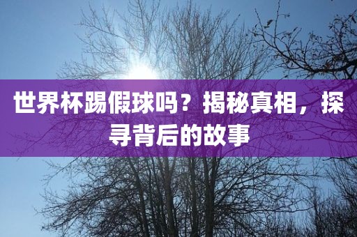 世界杯踢假球吗？揭秘真相，探寻背后的故事