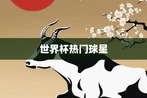 世界杯热门球星