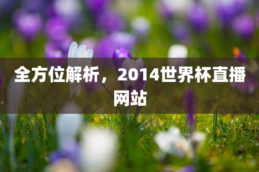 全方位解析，2014世界杯直播网站