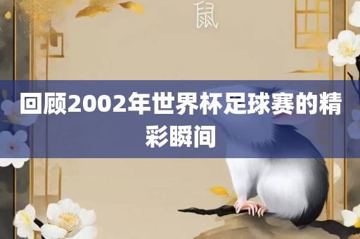 回顾2002年世界杯足球赛的精彩瞬间